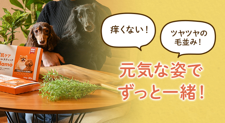 元気な姿でずっと一緒!