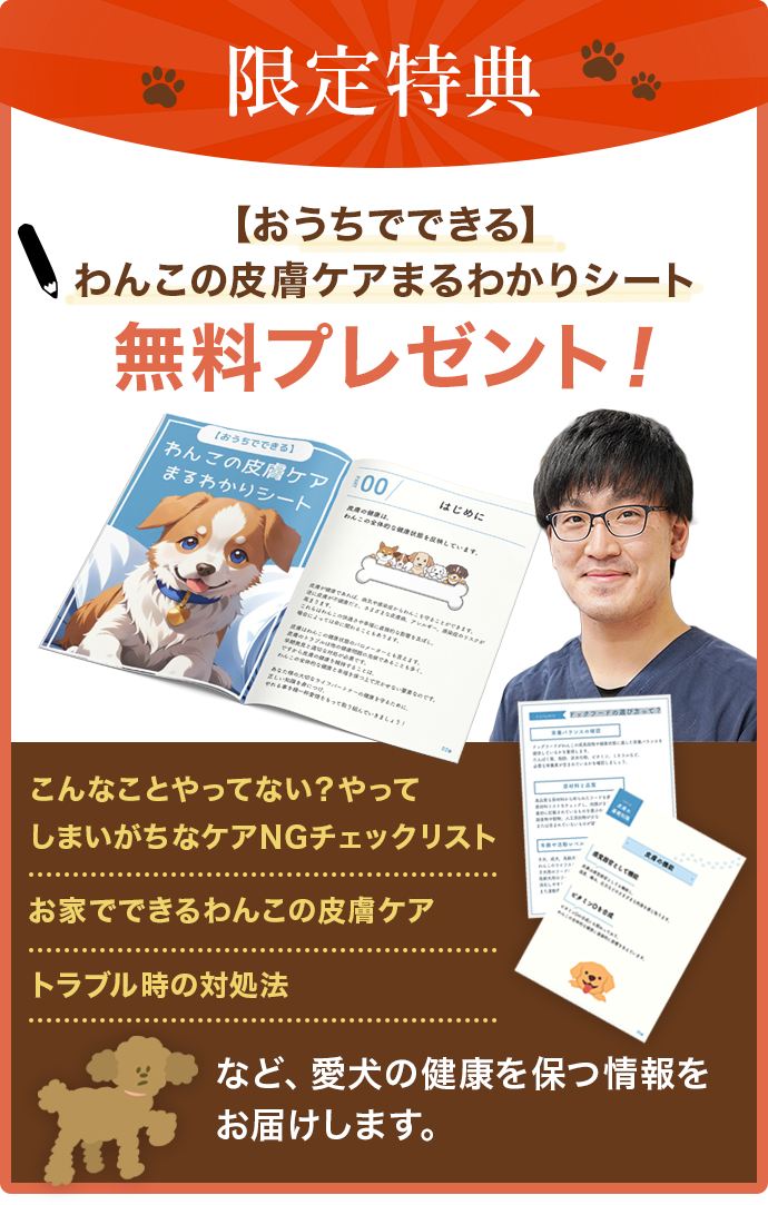 限定特典