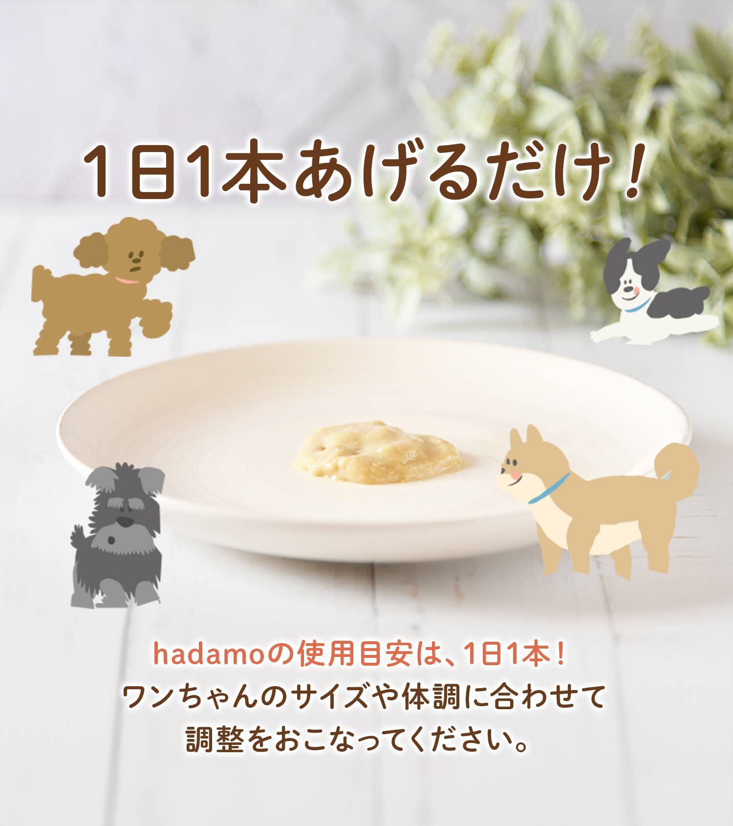 1日1本あげるだけ!
