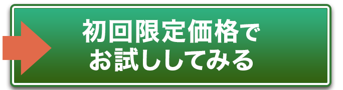 初回限定価格で試してみる